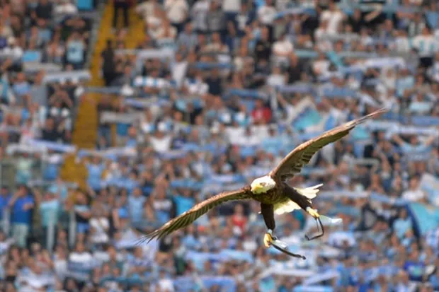 Bị Sampdoria 'chặt chém' không thương tiếc, Lazio đáp lại bằng 4 bàn - Bóng Đá