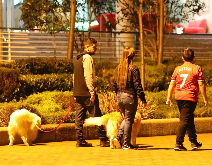 Hai chú chó cưng của Sanchez đã được đưa đến Manchester - Bóng Đá