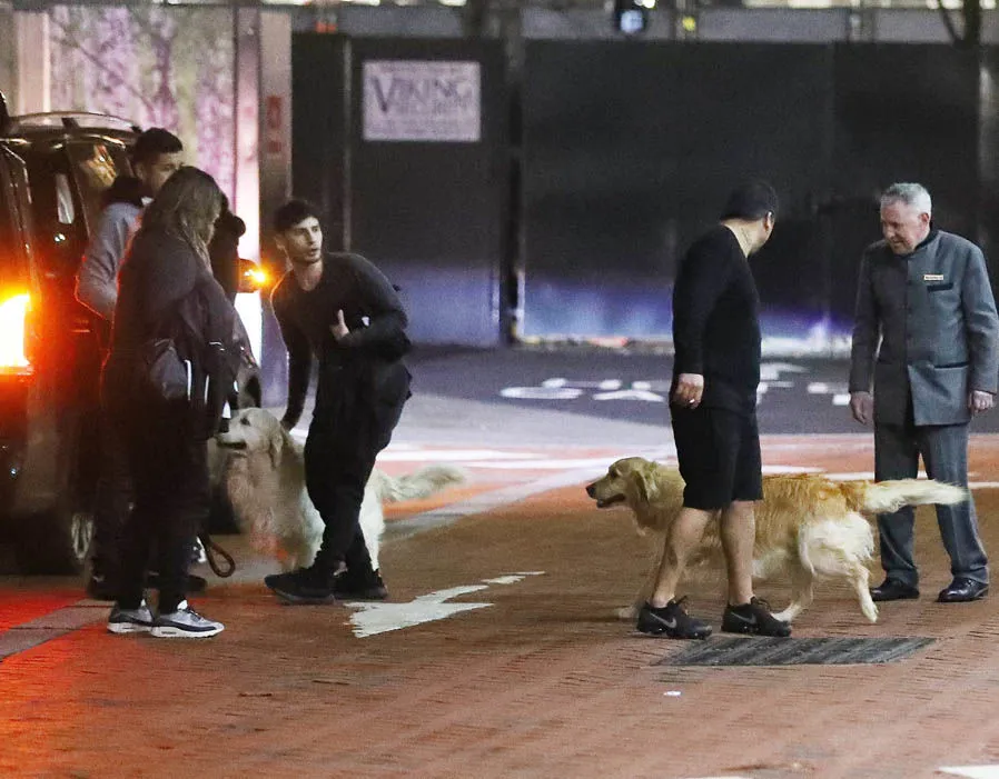 Hai chú chó cưng của Sanchez đã được đưa đến Manchester - Bóng Đá