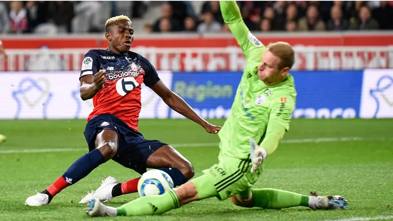 'Lille Replaced Pepe With A Better Player' - Fans Hail Osimhen As Super Eagle - Bóng Đá