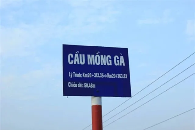 6-cay-cau-ten-doc-la-nhat-viet-nam-so-1-ai-di-ngang-cung-dung-lai-check-in-so-3-dan-ong-nghe-la-ren (6)