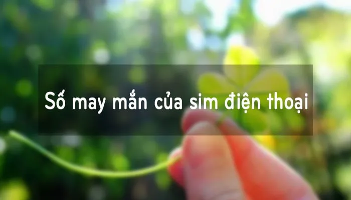 Số điên thoại may mắn