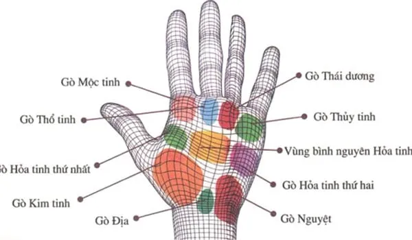 long-ban-tay-co-6-dau-hieu-nay-la-hong-phuc-troi-ban-02