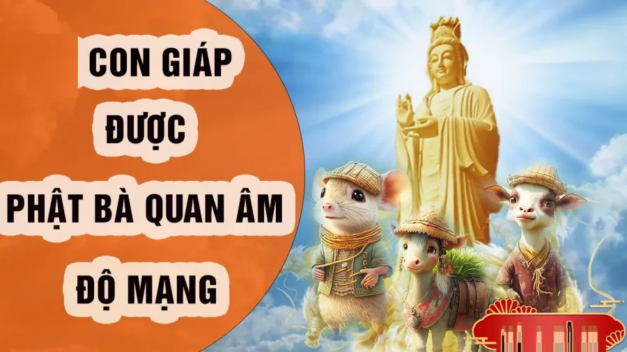 con-giap-duoc-do