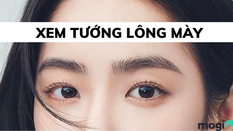 xem-tuong-long-may