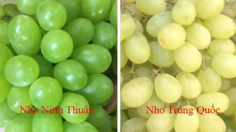 Cách phân biệt hoa quả Việt Nam và Trung Quốc