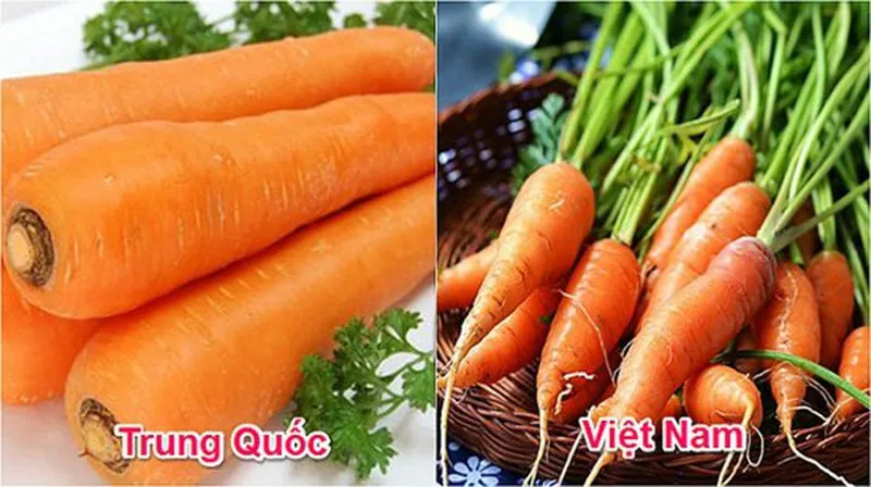 Cà rốt Việt Nam củ nhỏ hơn