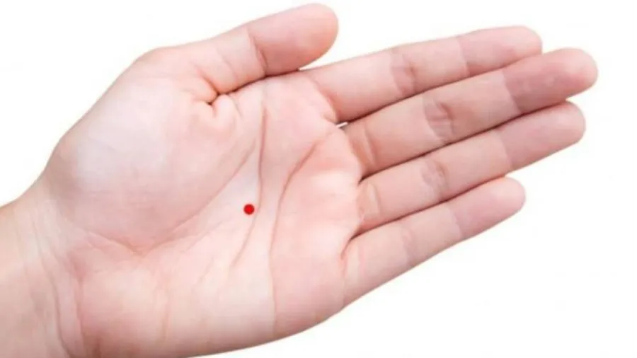 Nốt ruồi ở chính giữa lòng bàn tay được cho là nốt ruồi tụ tài