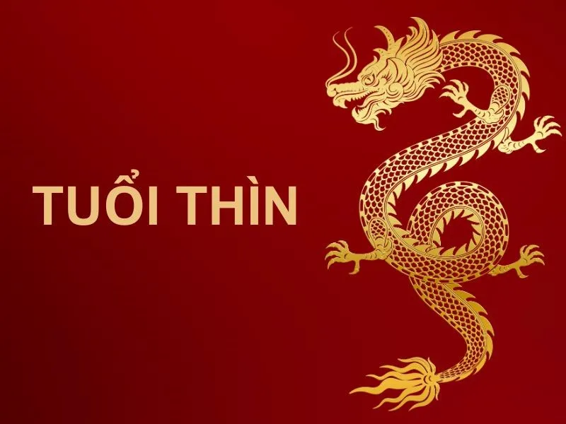 Tuổi Thìn cẩn thận tiểu nhân