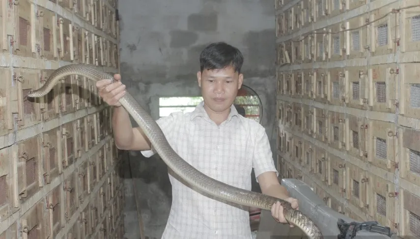 Anh Chung chia sẻ rằng mối liên kết của anh với rắn bắt đầu từ thuở nhỏ