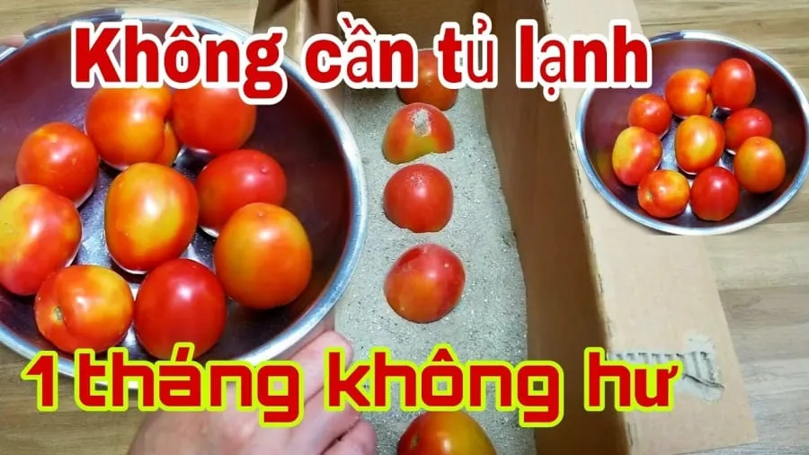 Nhiều người thường gặp khó khăn trong việc bảo quản cà chua sao cho chúng không nhanh chóng hỏng hoặc mất đi hương vị.