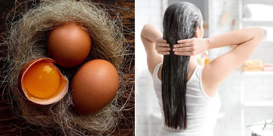 Các vitamin cùng khoáng chất, protein trong trứng gà có khả năng thúc đẩy sự phát triển của lông và tóc.