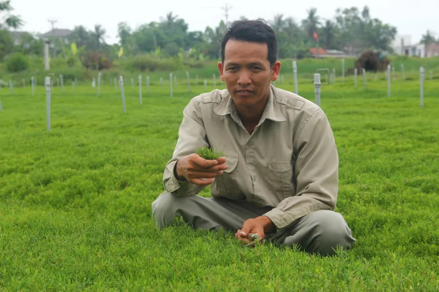 Anh Trần Văn Quân đã áp dụng kỹ thuật vào việc trồng cây, từ đó tạo ra nguồn thu nhập lớn