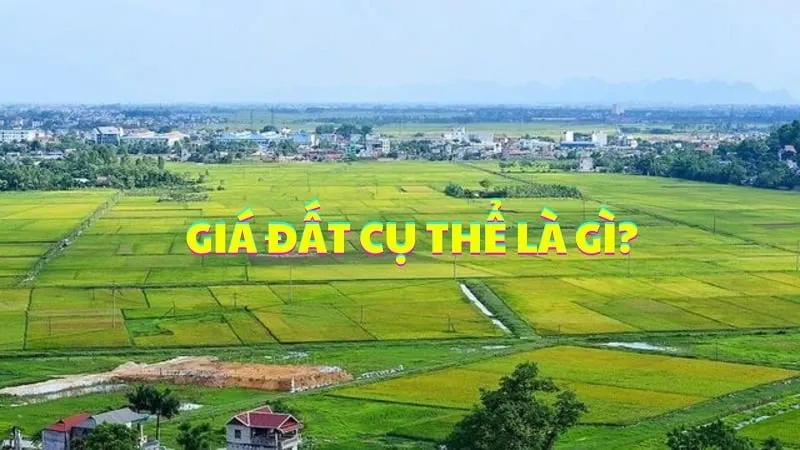 Giá đất cụ thể là giá trị của quyền sử dụng đất được tính trên một đơn vị diện tích đất được cơ quan có thẩm quyền quyết định áp dụng