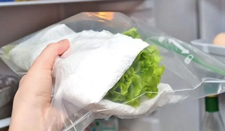 Sử dụng túi hoặc hộp bảo quản rau trước khi cho vào tủ lạnh