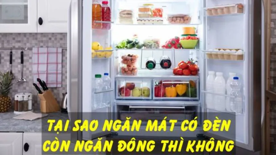 Tủ mát có đèn, tủ đá không có đèn, vì sao?