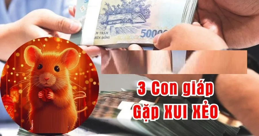 Người tuổi Tý cẩn thận hạn nặng 3 tháng tới