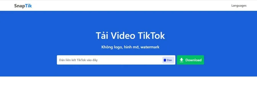 Tải video TikTok không logo với TikTok SpapTik