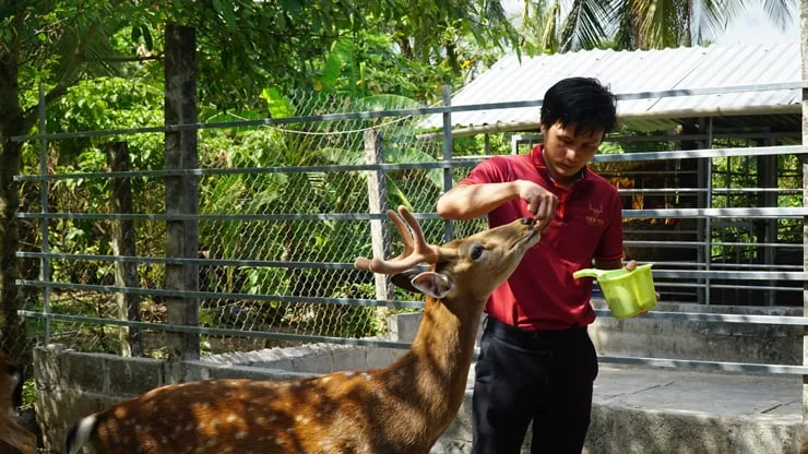 Năm 2019, anh Nguyễn Hoàng Việt đã dành thời gian tới Hà Tĩnh, xin ở lại trang trại nuôi hươu hơn một tháng để học hỏi và nắm vững kỹ thuật nuôi dưỡng