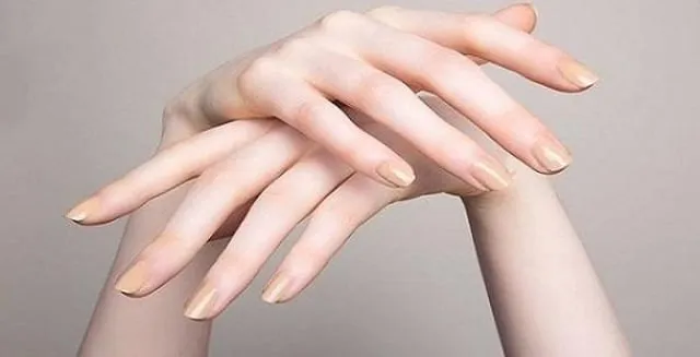 Tay búp măng là cách miêu tả một đôi bàn tay đẹp với ngón tay trắng trẻo và thon dài