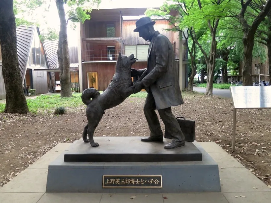 Chú chó trung thành Hachiko đã được dựng tượng