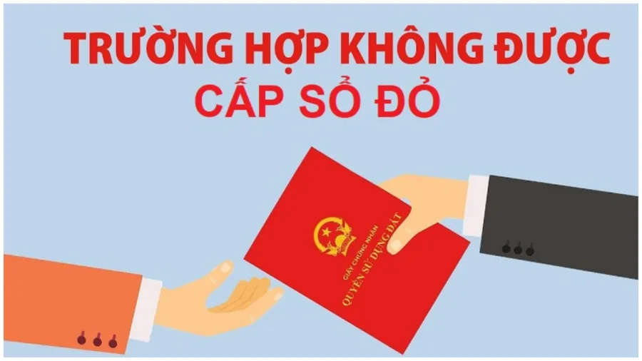 7 trường hợp đất không được cấp sổ đỏ từ 1-1-2025