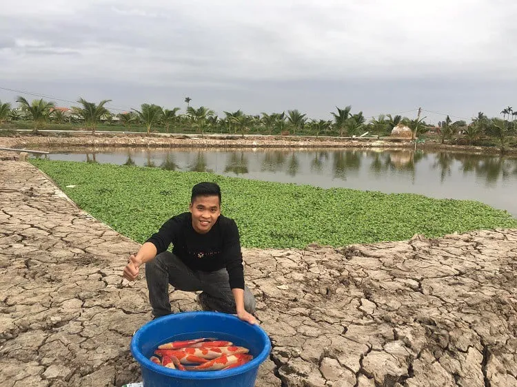 Anh Vũ Văn Quân đã khởi nghiệp với nghề nuôi cá coi