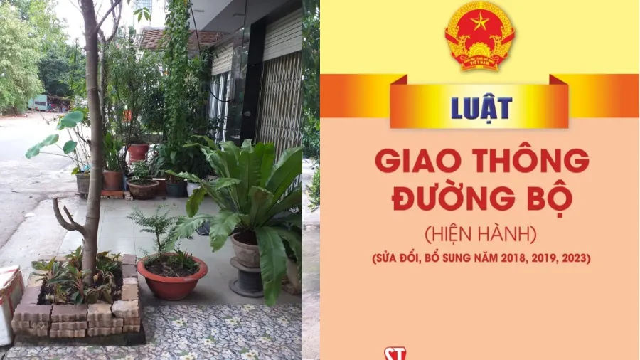 Tình trạng chậu cây lấn lòng đường vỉa hè dễ gặp ở nhiều nơi