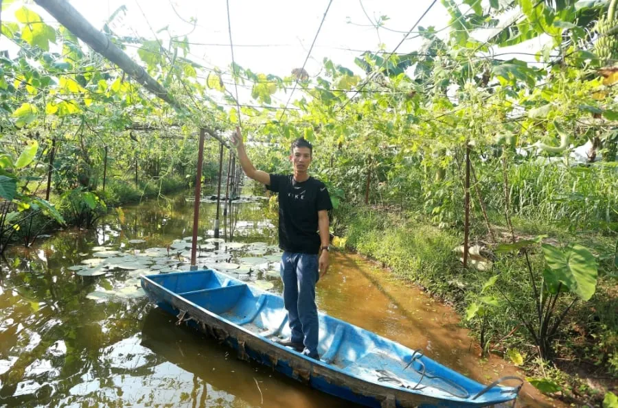 Mô hình nuôi ốc nhồi kết hợp trồng kết hợp trồng rau, củ, quả của gia đình anh Trần Duy Hưng, xã Trung Kiên (Yên Lạc). Ảnh: Thế Hùng/báo Vĩnh Phúc.