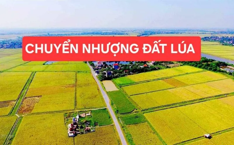 Quy định mới về luật đất đai