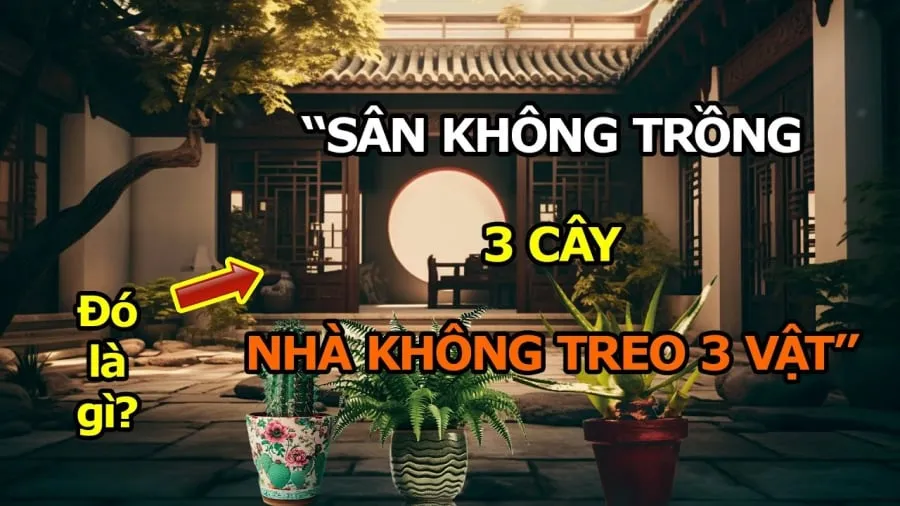 Vì các loại cây này mang ý nghĩa xui xẻo, giữ lại trong nhà dễ mang lại điều không may mắn cho gia chủ.