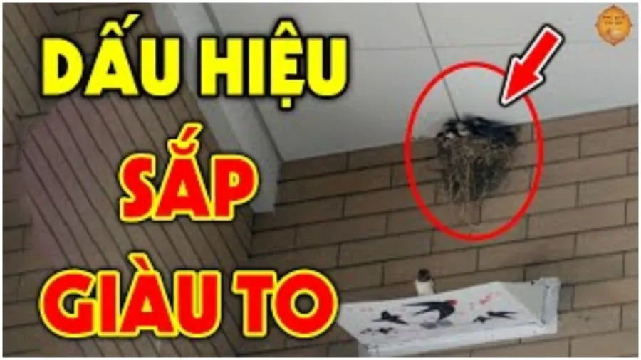 Nhà có tổ ong săp giàu to