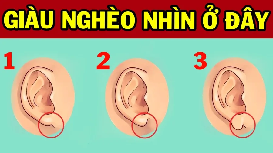 Tướng tai phát tài giàu có