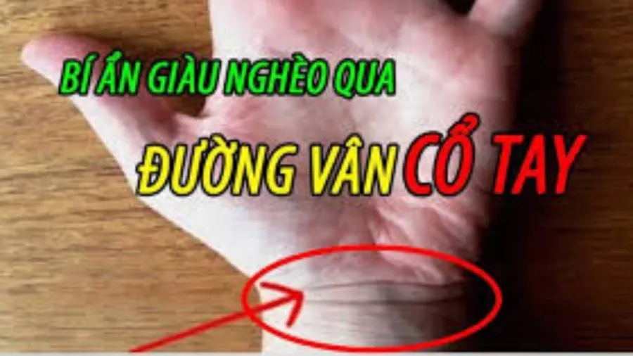 Đường vân cổ tay đầu tiên