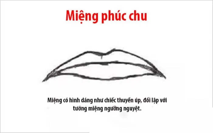 mieng thuyen up