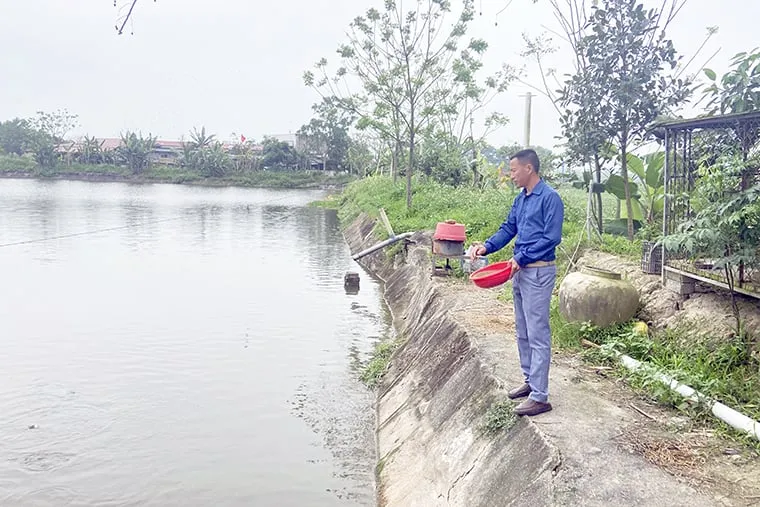 Tùy thuộc vào từng loài cá khác nhau, anh có thể ương giống với mật độ từ 500 đến 1.500 con trên mỗi mét vuông, đảm bảo sự phát triển tối ưu cho từng nhóm cá