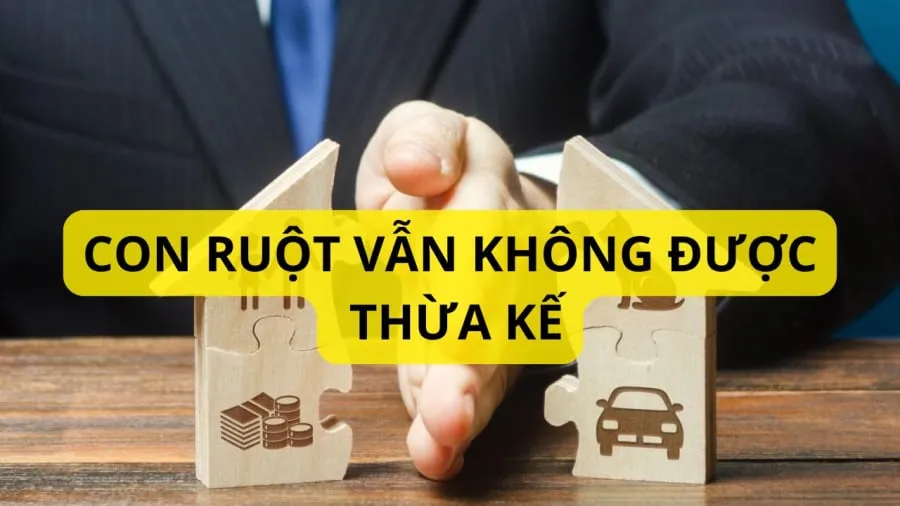 Con ruột nhưng thuộc các trường hợp sau sẽ không được hưởng thừa kế