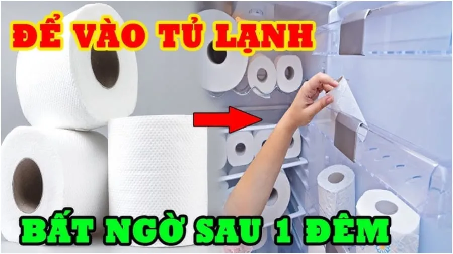 Đặt cuộn giấy vệ sinh vào tủ lạnh