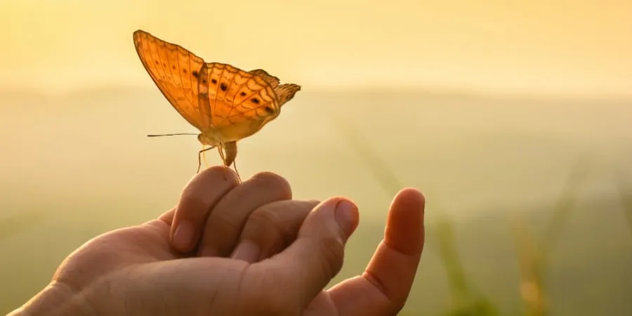 Trong cuộc sống, không ai có thể tránh khỏi cái chết, dù là người cao quý hay bần hàn.