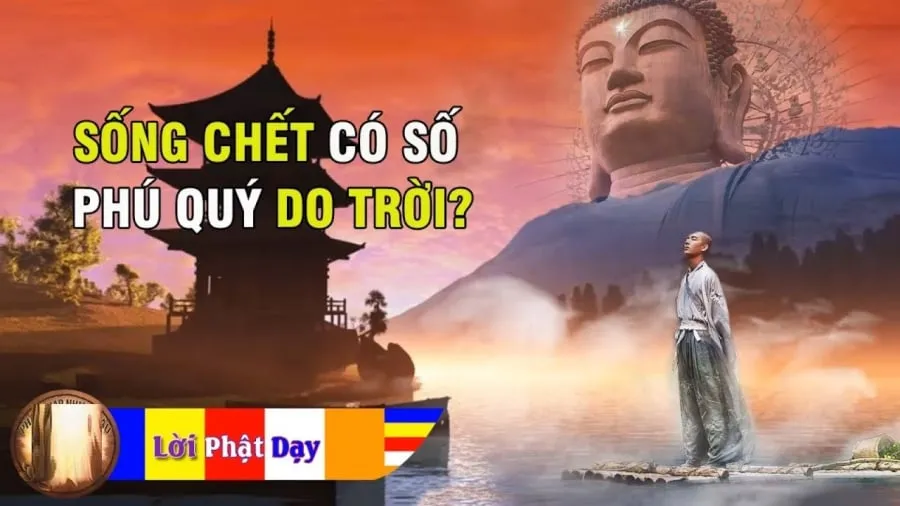 Lời Phật dạy: Sống chết có số