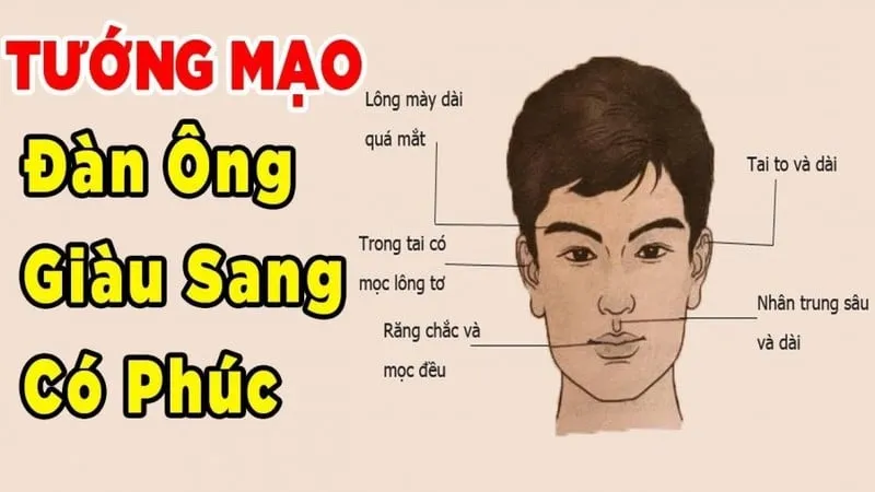 Tướng đàn ông giàu có hơn người