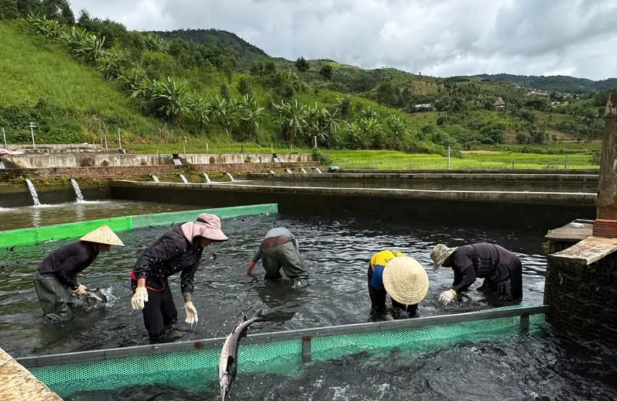 Bằng kinh nghiệm khởi nghiệp từng trải qua ở nhiều miền đất khác nhau, anh Tấn đã thiết kế hệ thống dòng nước vào và ra một cách riêng biệt