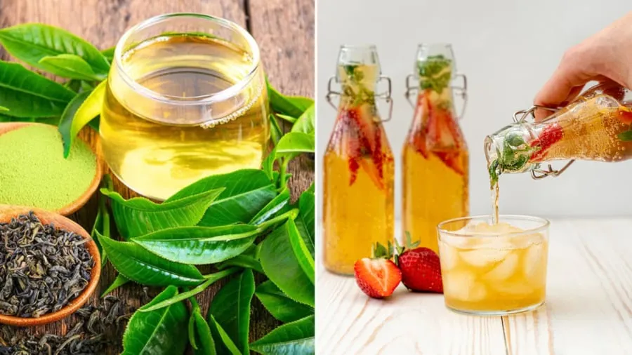 Các loại trà, kombucha mang lại nhiều lợi ích cho sức khỏe, trong đó có cả việc hỗ trợ giảm cân, giảm mỡ bụng.