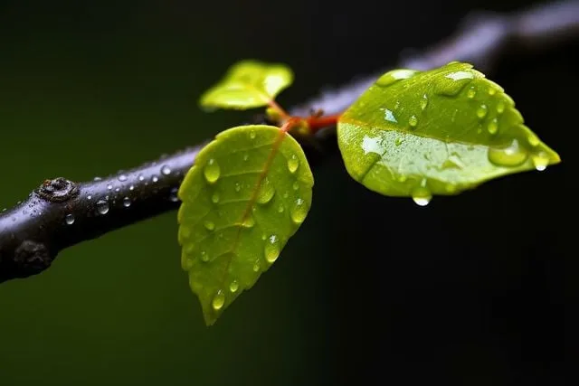  Chỉ cần bạn đủ tâm huyết, đủ trác nhiệm thì bạn sẽ trở nên mạnh mẽ. (ảnh minh họa)