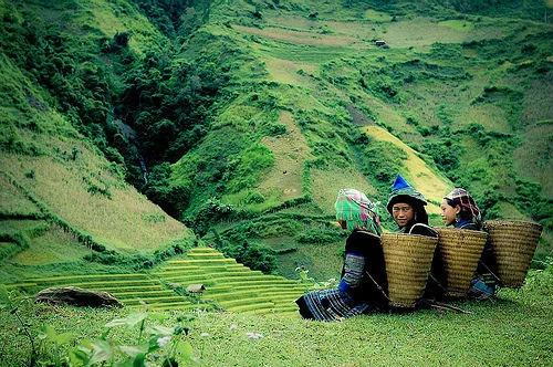 Trai phố tập tành “cạy cửa ngủ thăm” sơn nữ và kết cục đắng lòng!