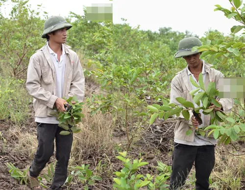 Lệ Rơi bất ngờ bị phá sản vì kinh doanh thua lỗ hàng trăm triệu