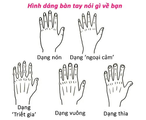 Hình dáng bàn tay nói gì về bạn?