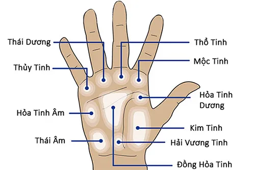 Các gò trên bàn tay nói gì về bạn?