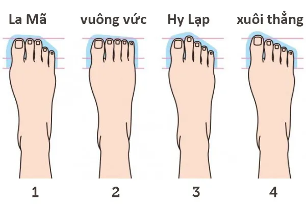 Hình dáng bàn chân nói gì về bạn?