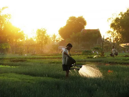 Có một Việt Nam bình yên đến lạ